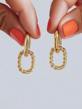 NWT Ana Luis Ash Double Hoop Earrings